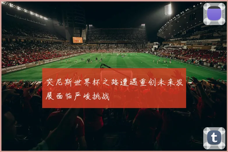 突尼斯世界杯之路遭遇重创未来发展面临严峻挑战