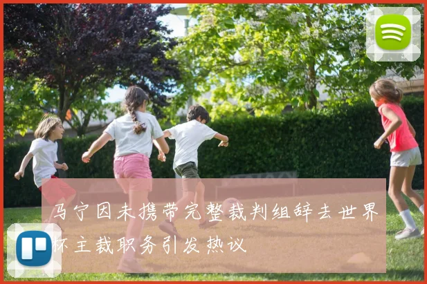 马宁因未携带完整裁判组辞去世界杯主裁职务引发热议